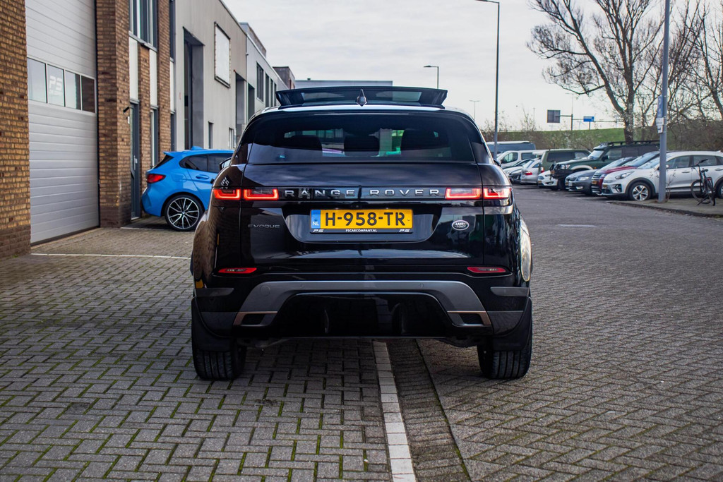 49561624-4.jpg