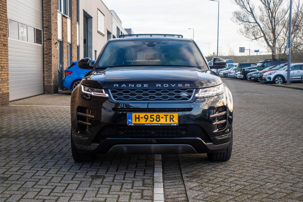 49561624-8.jpg
