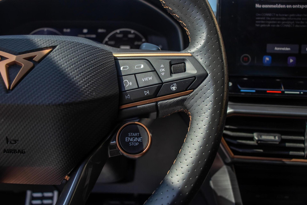 55592365-14.jpg